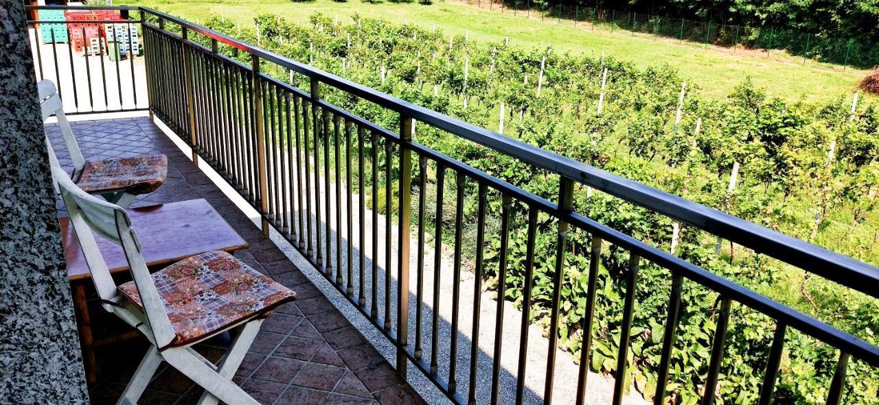 Da Terry Bed & Breakfast 베르기아테 외부 사진